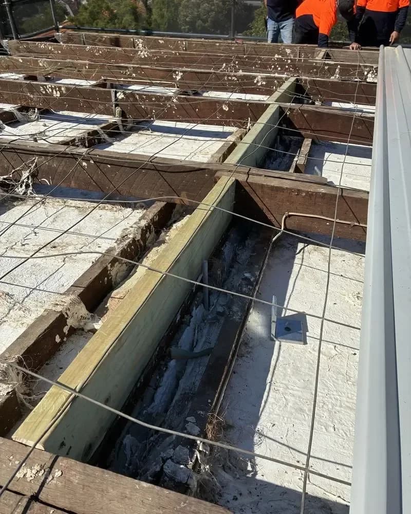 New treated bearer installed alongside the original timbers